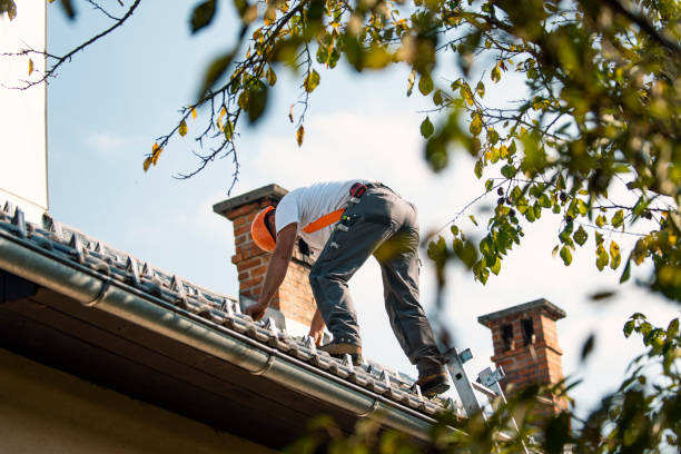 Best Metal Roofing Contractor  in Walnut, IL