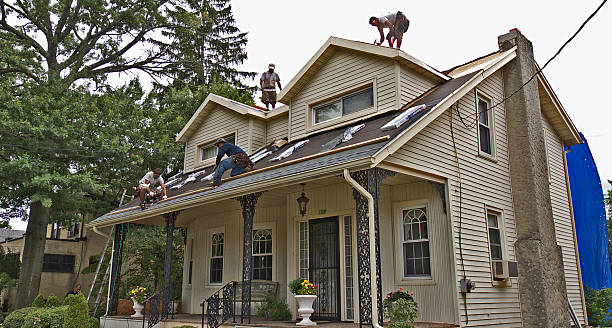 Best Local Roofing Companies  in Walnut, IL