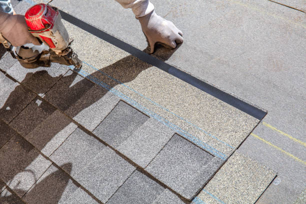 Best Shingle Roofing Installation  in Walnut, IL